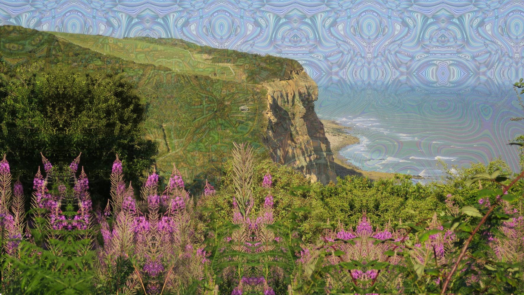LSD in Hastings Country Park