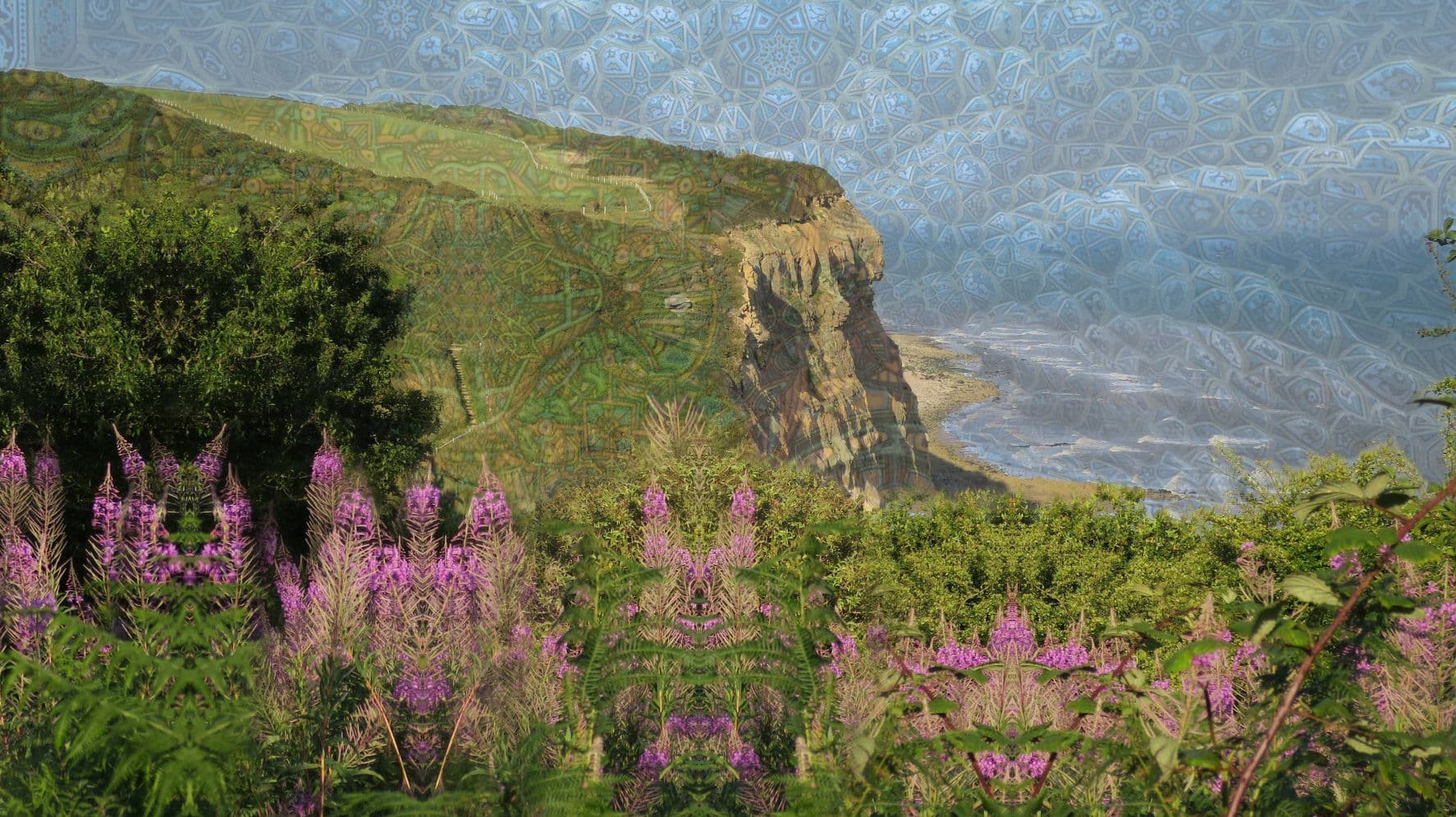 LSD in Hastings Country Park