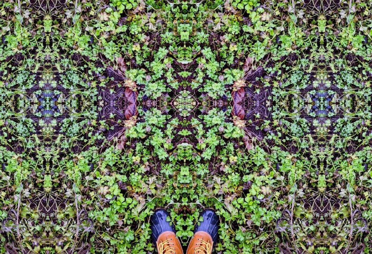 Mirrored Garden Ground